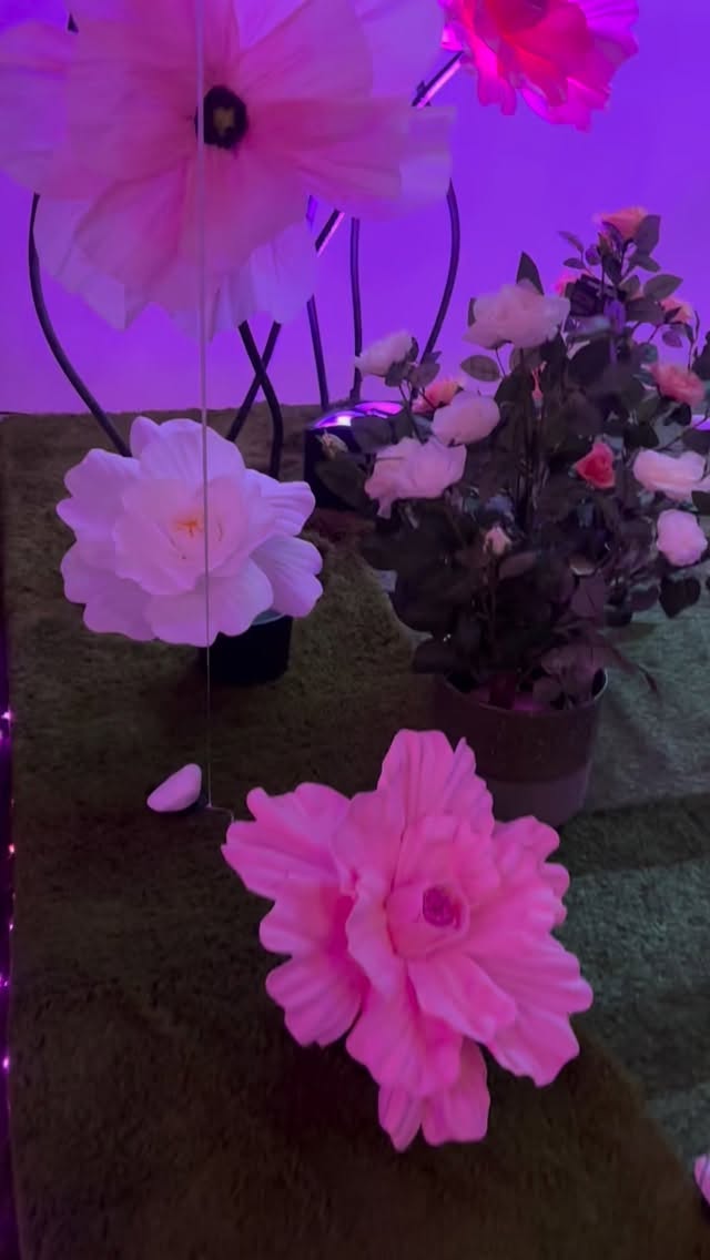 We had the pleasure of delivering full sound & lighting for the 100 Women in Insurance event 🙌
This setup was all about keeping things clean and professional proper corporate AV done right. Everything came together nicely and looked as good as it sounded @100womenininsurance @larizzleofficial #100womenininsurance @motelstudios_events @motelstudios_weddings