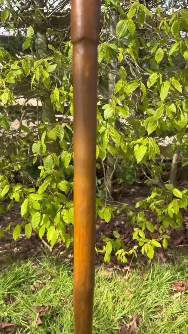 For those of you who love a Hen on a fork, here is one in the rust patina.
I have been creating this piece since 2011 and I still make the forks up by hand.
#birdsculpture #ruperttillsculpture #sculpture #gardeninspiration #art