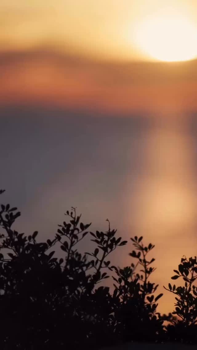 Oliviero, un nome elegante che richiama ad un’atmosfera aulica e raffinata con un profondo significato.
Oliviero significa letteralmente “portatore di pace”; un augurio, quello contenuto nel suo nome, che sicuramente non lascia indifferenti.
Da un semplice e, all’apparenza, esile ramoscello d’ulivo, simbolo di pace, deriva questo nome… 🕊️
e…. oggi, Domenica delle Palme, nessun nome è più adatto per portare un messaggio di pace.
Oliviero non è, però, solo il suo significato: la sua storia ha molto di più da raccontare!
Ti piace il nome Oliviero e pensi che potrebbe essere perfetto per il tuo bimbo in arrivo ma non ne sei ancora sicuro?
Contatta Name Planner e prenota subito una consulenza per saperne di più riguardo a questo nome e per ricevere un consiglio unico e speciale che rispecchierà l’augurio che desideri fare al tuo piccolo!
Visita il mio sito: www.nameplanner.it
#nameplanner #babynameconsultant #fioccoazzurro #parentstobe #nuovavitainarrivo