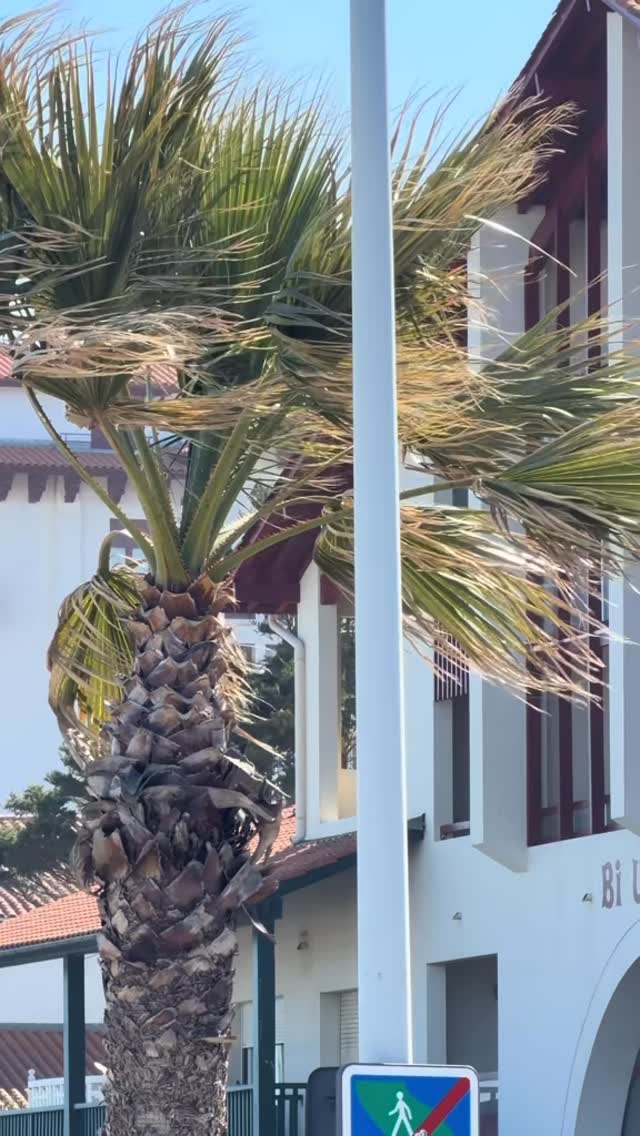 #surf #session #fyp #pty #prt les vacances de Pâques arrivent 💪🏄♂️🏄😘🤙🏻❤️🌊☀️