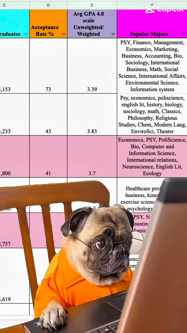 This dog is more prepared than most juniors. 😜 If your teen doesn’t have a college list, a target school strategy, and a timeline yet—they’re already behind. I help juniors (and their parents) get ahead of the process—start to finish, completely personalized. 🔗 Link in bio to see how we work together.