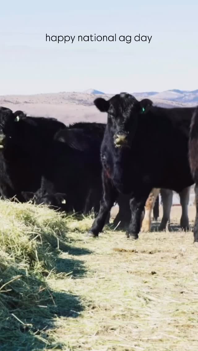 Happy National Agriculture Day from @agri_bestfeeds 🌾
Proud to support the farmers and ranchers who keep this industry moving. Strong livestock starts in the rumen—and we’re here to help every step of the way.
#NationalAgDay #AgriBestFeeds #SupportAg #CattleIndustry