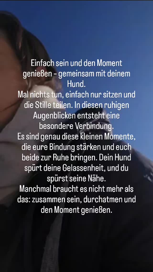 #bindungsarbeit #einfachsein #hundmenschbeziehung
