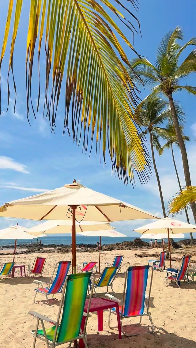 Manhã de sol na Praia do Resende.
#itacare #bahia #itacaré #itacareparaisobaiano #praia