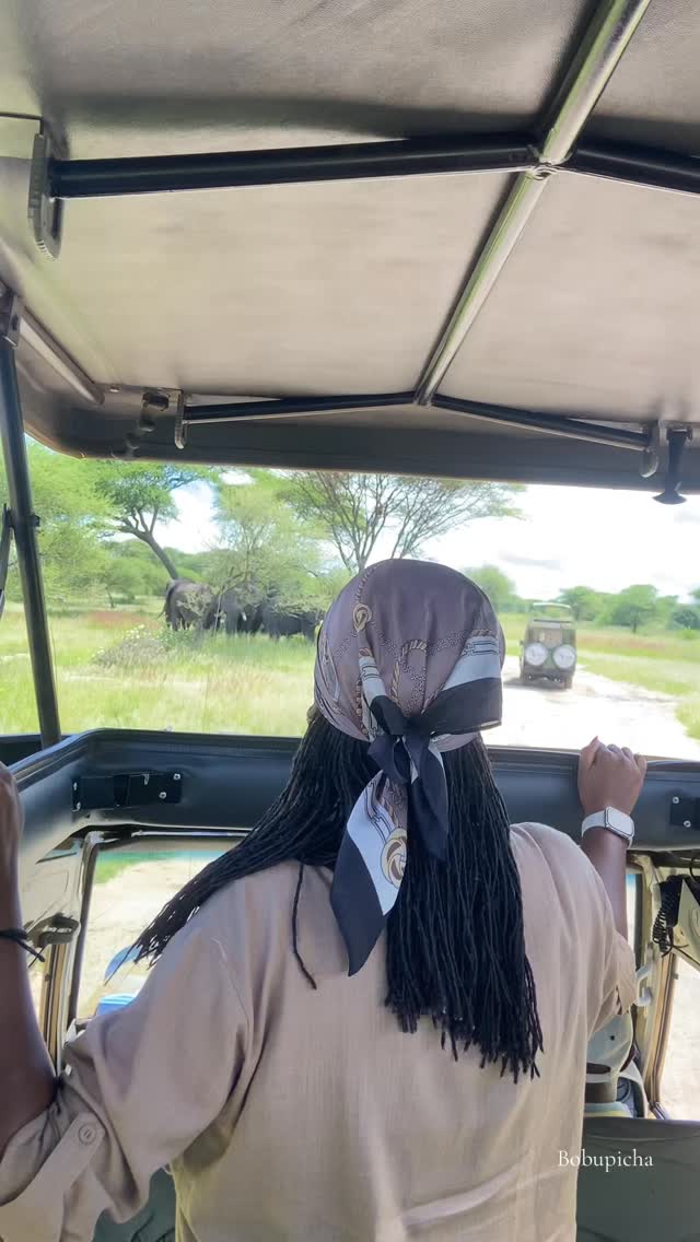 During the dry season, the Tarangire River becomes the primary water source for the entire ecosystem, drawing massive concentrations of wildlife.
#tarangire #wildanimals