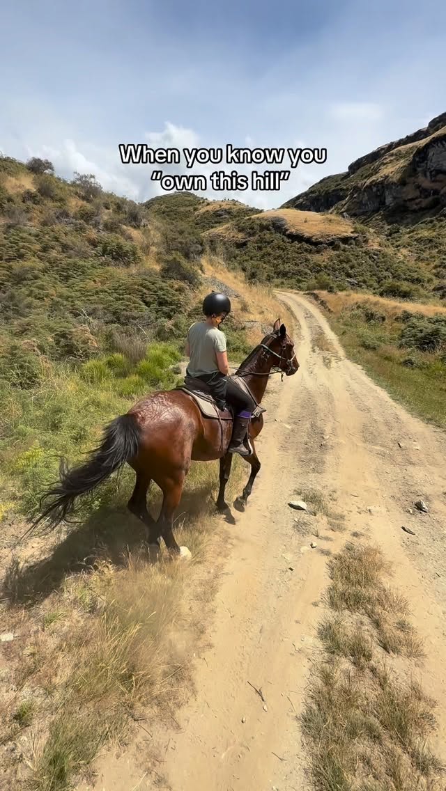 This is “Captain’s Hill” for a reason. He just owns this hill! All the horses have always gotten excited to run up this hill since the very start. We walked it for a while because its quite steep, but then I was like “Oh well if you guys really want to run up here why should I stop you”. Its also a safe hill for people who want to try a canter.
But we have named this the “Captain’s Hill” after the horse since he leaves all of them in the dust. Its so cool to be able to fly up and feel his power.
Do you remember riding Captain up this hill?
.
.
.
.
.
#racehorse #exracehore #standardbred #runfast #galloping