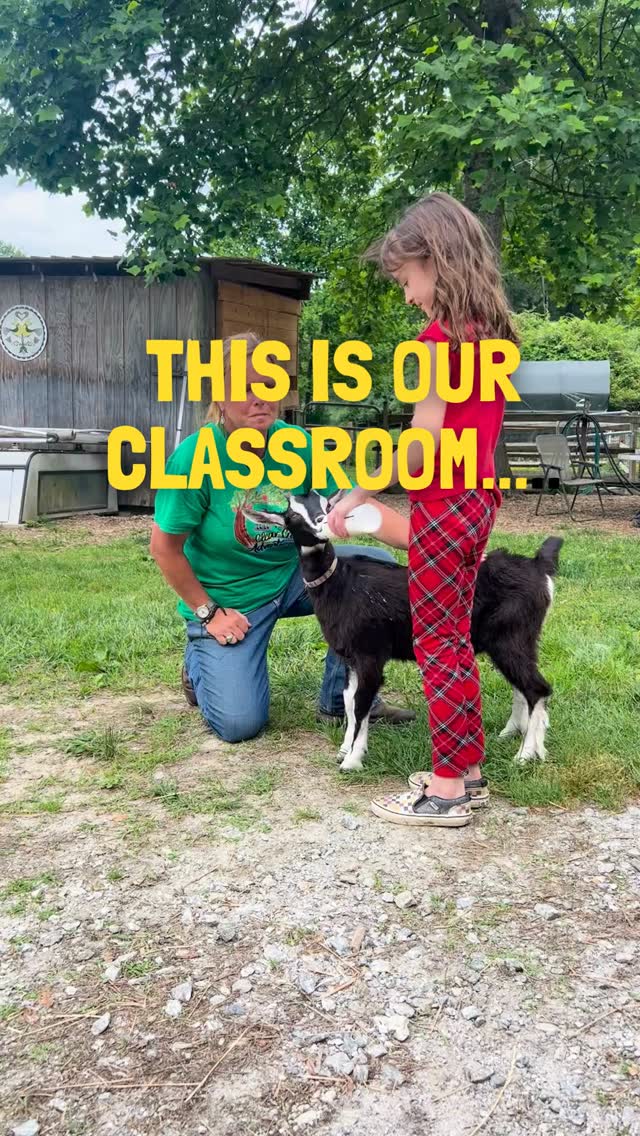 Name a better way to spend a spring afternoon than this.👇 We'll wait.
Ziplines. Pony rides. Farmyard friends. Creek adventures. Mountain views. All on 30+ acres in the Blue Ridge Mountians.
At NC Clear Creek Adventures, the outside is the classroom and the memories are the homework. 💚
#NCClearCreekAdventures #HendersonvilleNC #WNCAdventures #BlueRidgeMountains #FamilyFriendlyNC #GetOutside #828isGreat #OutdoorFamilies #WNCOutdoors #ExploreWNC #MountainKids