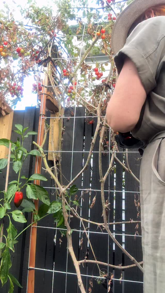 Gardening makes everything feel a little bit better.
Go plant something. Pull a few weeds. Even just 15 minutes. She’s a bloody good time