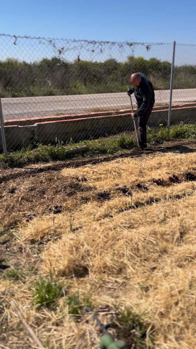 Te esperamos en nuestro huerto Agroecológico 💕