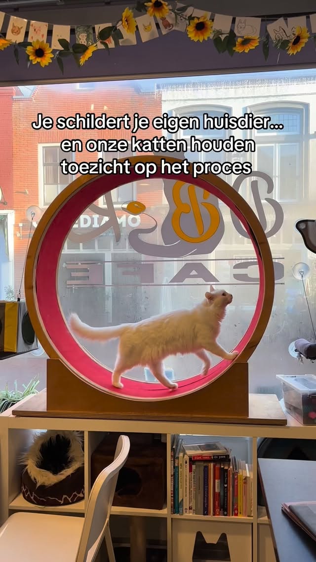 Een unieke ervaring voor elke dierenliefhebber 💛
Maak een realistisch portret van je eigen huisdier,
met begeleiding en een beetje kattengezelschap 🐱🎨
📅 17 mei
⚠️ Alleen op reservering
#workshop #petportrait #katcafe #alkmaar #cozyvibes