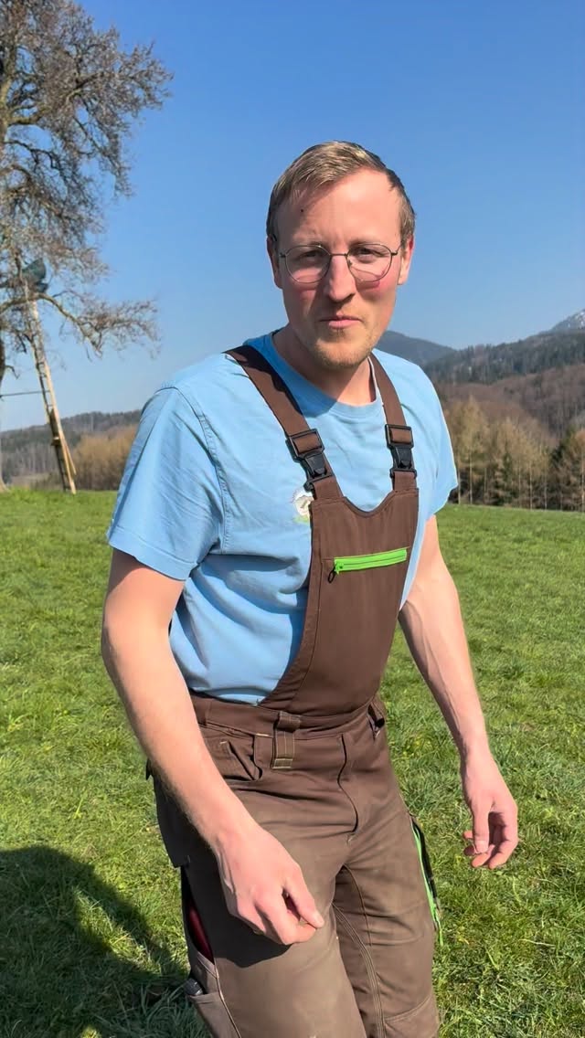 🌱💚 Bald ist es wieder so weit… 💚🌱
Draußen auf unseren Wiesen wächst gerade das, was eure Fellnasen lieben: frisches, saftiges, aromatisches Wiesenheu. 🌱 Mit jedem Sonnenstrahl wird’s ein Stückchen mehr… und wir wissen jetzt schon, wie sehr sich eure Lieblinge 🐰🐹🐭 darauf freuen werden. 😍
Wenn das Wetter mitspielt, kommt in wenigen Wochen der erste Schnitt – der Moment, wenn aus grünen Wiesen genau das Heu wird, das eure Tiere glücklich macht. 💚✨
Wer freut sich auch schon auf den ersten Schnitt des Jahres? 😁🌱