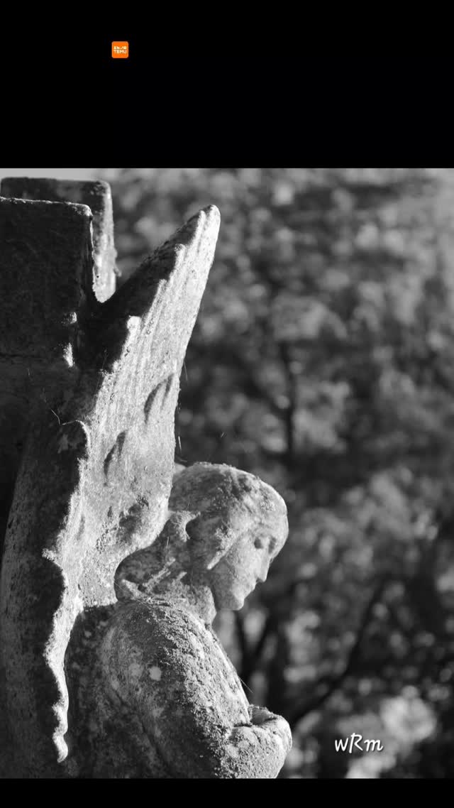 St. Nicholas Ukranian Church, Chicago, IL
#cemeteryphotography #tombstonetravels #cemeteryart #angels #cemeteryscapes