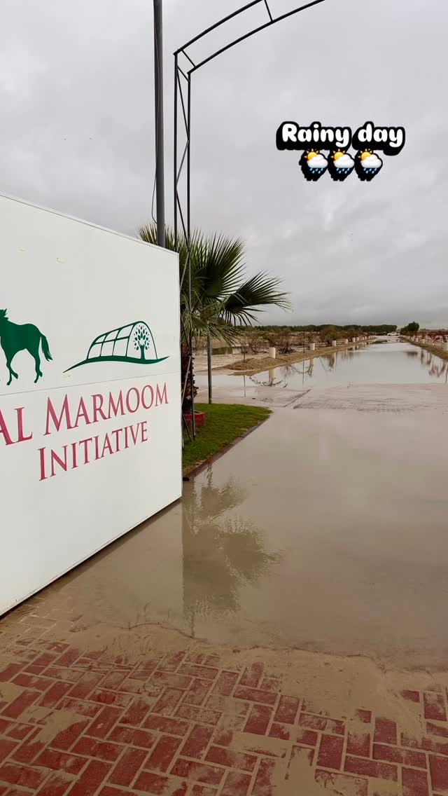 🌦️🌦️🌦️