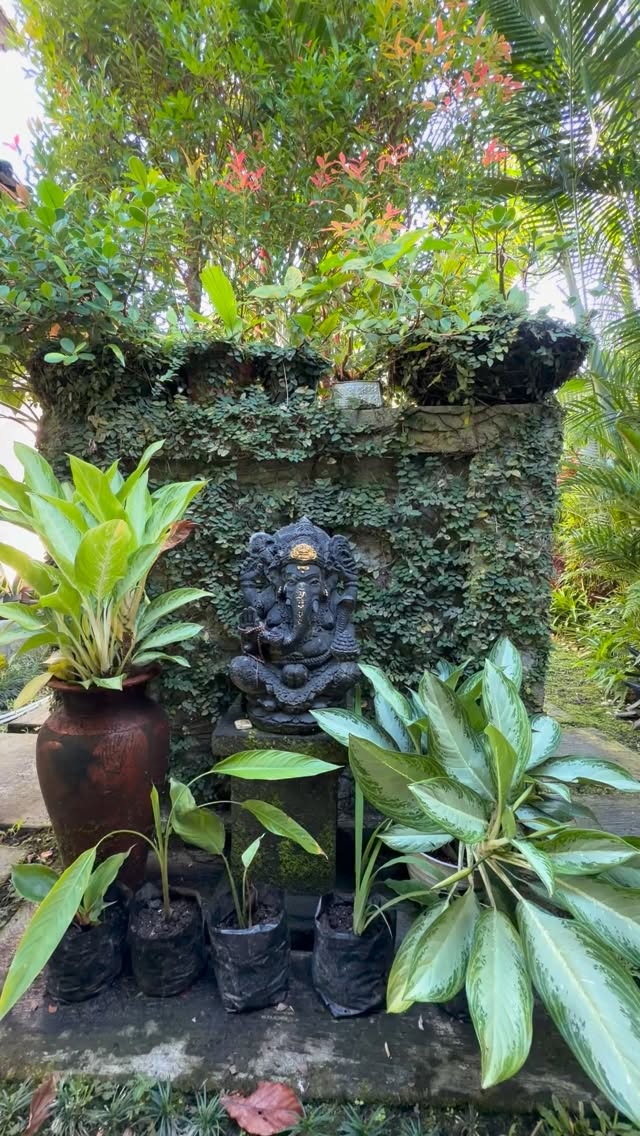Private yoga in the comfort of your villa.
Tailored to your body, your breath, your rhythm.
Ubud based
message me to book.
#ubudyoga #homeyogapractice #yoga #yogaandsound #ubud