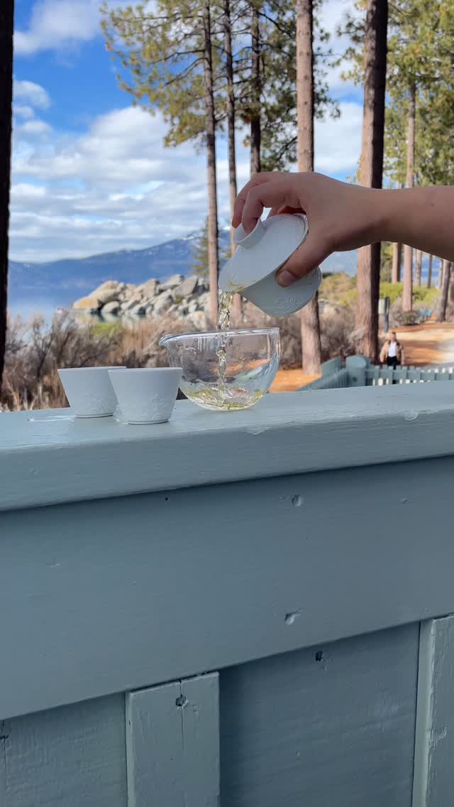 #teainnature #tea #tealife #teatime #laketahoe