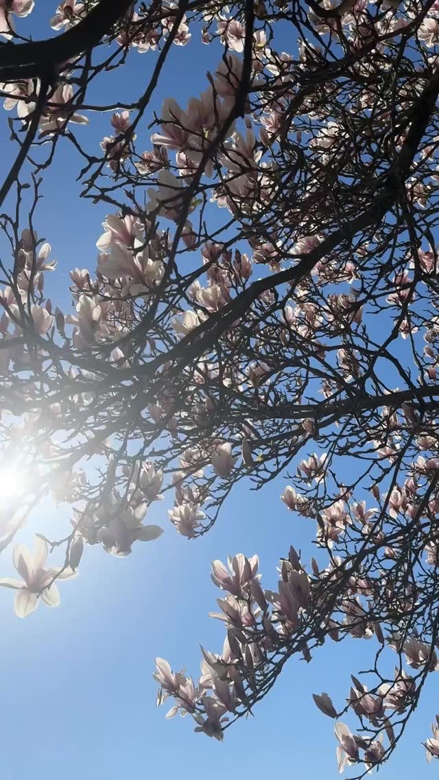 Spring has sprung at TKL! Praise the Lord for sunshine ☀️