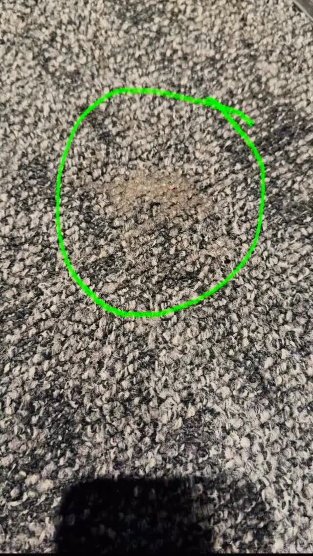 #gum stain removal from carpet
#movie theater carpet cleaning
#low moisture carpet cleaning #brightspacecleaning #professional carpet cleaning Brooklyn NYC