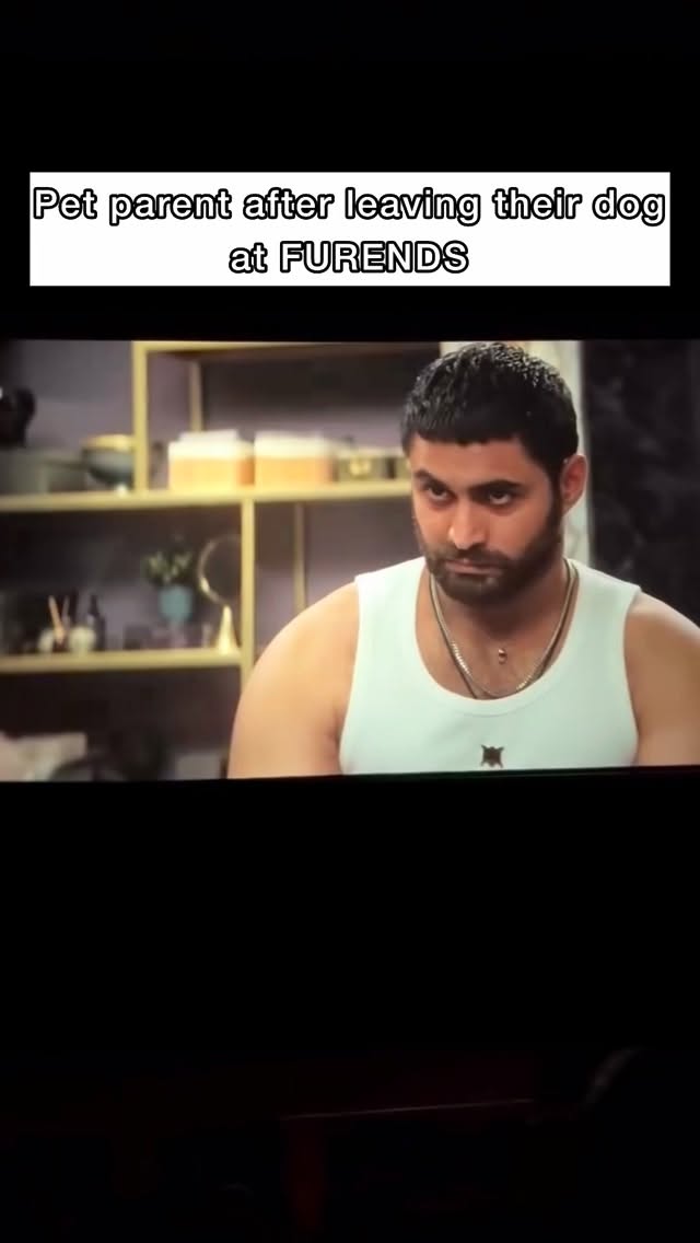 Ghar ki yaad ❌
Ghar jaisa mahool ✅
#petstudio #mumbaipetslovers #trendingreels #mumbaipets #dogsofinstagram