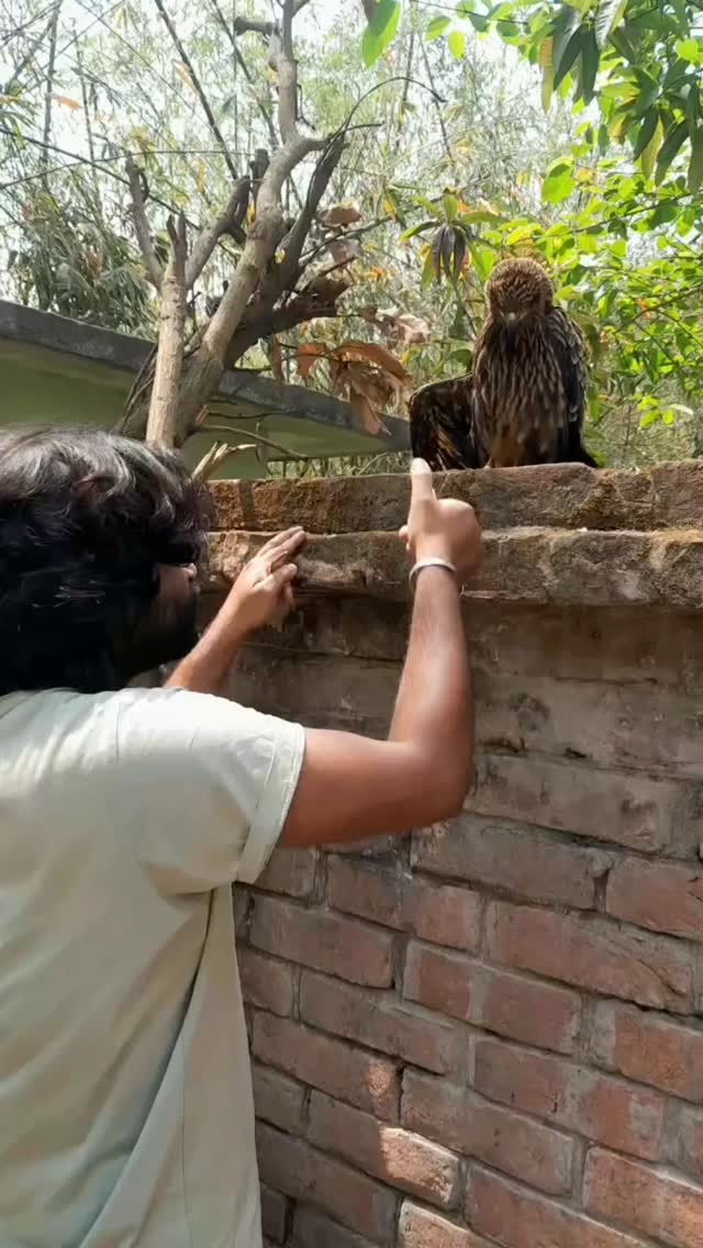 সে জানে তার চিকিৎসা চলছে