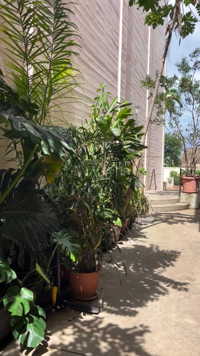 Sun is out!
And now you have found the perfect fresh Fish Taco with Ube Tortilla for this lovely weather!
.
.
.
#sixtytwomarcket #62marcket #fishtaco #bestfishtaco