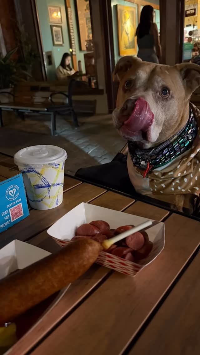 Seal Beach adventure with our birthday Auntie @wb714 ! Walked to the end of the pier over a gorgeous ocean and spectacular sunset, got spoiled with a hot dog, had a great conversation with a Buddhist monk about his childhood dog, how he’s met Aloka, the Peace Dog multiple times, and just how awesome dogs are in general. It was an emotional, wonderful conversation. And yes, I wandered around on my 3 feet’s a bit before jumping in my chariot. Beautiful night by the ocean. HBD Auntie! 🎉xo, Ginger