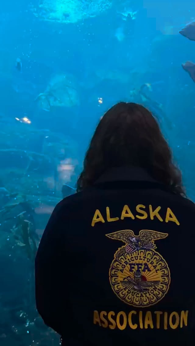 Tsunami Bowl is off to a great start!!
#alaskaffa #ffa #forgetmenot