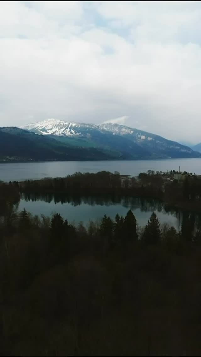 Swiss Cocktail Competition 2026
This year the competition held in the @hoteldeltapark to welcome our competitors.
Three categories:
- classic with Low ABV
- Mocktail
- Flair
Congratulations to
@baris_aydin77 in classic
@johnnysflair in flair
They will represent Switzerland in Macao at the WCC IBA
Congratulations to @michael_duc_mtb for winning the Mocktail Competition and represent Switzerland in Bled, Slovenia
A warm thank to all the sponsors and competitors for this amazing edition of the SCC.