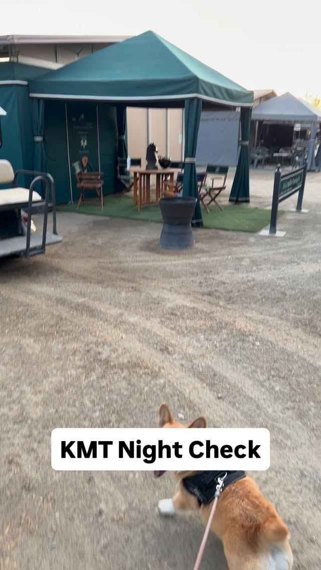 Love our KMT babies! Looking forward to showing tomorrow𤩠#teamkmt #jumpingtothenextlevel #lovethejourney #westpalmsevents