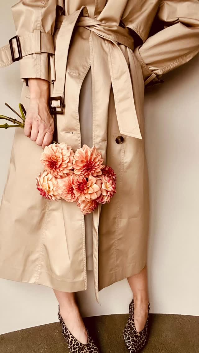 KA’s® Mocha Katies kronblad går i en mjuk persikofärg och kantas av en linje i en dov hallonton. Även undersidan av kronbladen går i hallonrött. Allt eftersom blomman mognar ljusnar tonerna upp och övergår till en ljus cremefärg 🤩
De tvåtonade blommorna är oändligt mångsidiga och den perfekta bryggblomman i arrangemang och buketter. Plantan är väldigt frodig och producerar långa stjälkar till sent på säsongen 💃
KA’s® Mocha Katie’s petals have a soft peach color and are edged with a line in a dull raspberry tone. The underside of the petals is also raspberry red. As the flower matures, the tones lighten and transition to a light cream color 🤩
The two-toned flowers are endlessly versatile and the perfect bridge flower in arrangements and bouquets. The plant is very lush and produces long stems until late in the season 💃
#storiesandcreations #dahliadesire #dahlia #blomsterisäsong #uniqueblooms