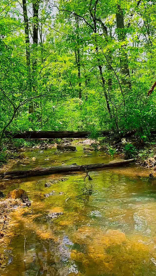 Take the LEAP! It’s just pure FUN! The Bluffs Trail Runs is flowing soon.