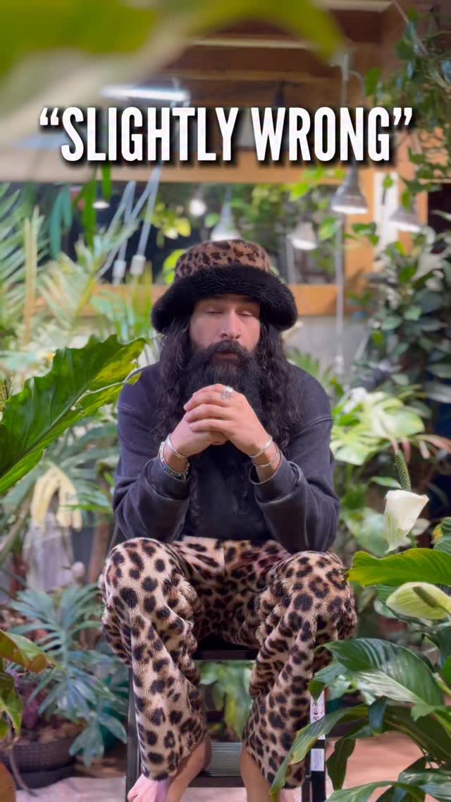 April Fools is built on the idea that reality can be bent… just for a moment.
And we all agree to play along.
But plants don’t.
They don’t fake growth.
They don’t pretend things are fine.
They respond to what’s real.
Light. Water. Environment.
Simple.
Which is why they’re such an uncomfortable mirror.
Because a lot of us…
aren’t wildly off track.
We’re just… slightly out of alignment.
And somehow, that’s harder to notice.
One love, tiny phone people. ❤️🪴🙏🥰