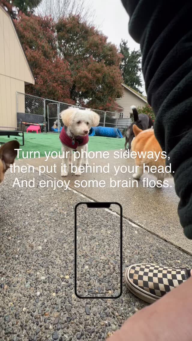 Happy Friday! Follow instructions on the screen! Was that cool or what?!