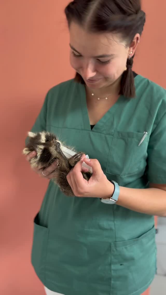 Heute verabschieden wir uns von unserer lieben Malena – und das fällt uns wirklich nicht leicht.
Mit viel Herz, Engagement und einem feinen Gespür für Mensch und Tier hat sie unser Team bereichert. Umso schwerer ist es für uns, sie gehen zu lassen. Gleichzeitig sind wir unglaublich stolz auf sie, denn Malena folgt nun ganz ihrem Herzensweg und widmet sich vollständig ihrer Tätigkeit als Hundetrainerin.
Wir wünschen dir von Herzen nur das Beste für diesen neuen Lebensabschnitt – viel Erfolg, Freude und ganz viele glückliche Vierbeiner an deiner Seite.
Und an alle im Raum Leipzig: Wenn ihr auf der Suche nach einer großartigen Hundetrainerin seid, dann seid ihr bei Malena in den allerbesten Händen. @malena_martinruetter_leipzig
Liebe Malena, du wirst uns sehr fehlen. Danke für alles!