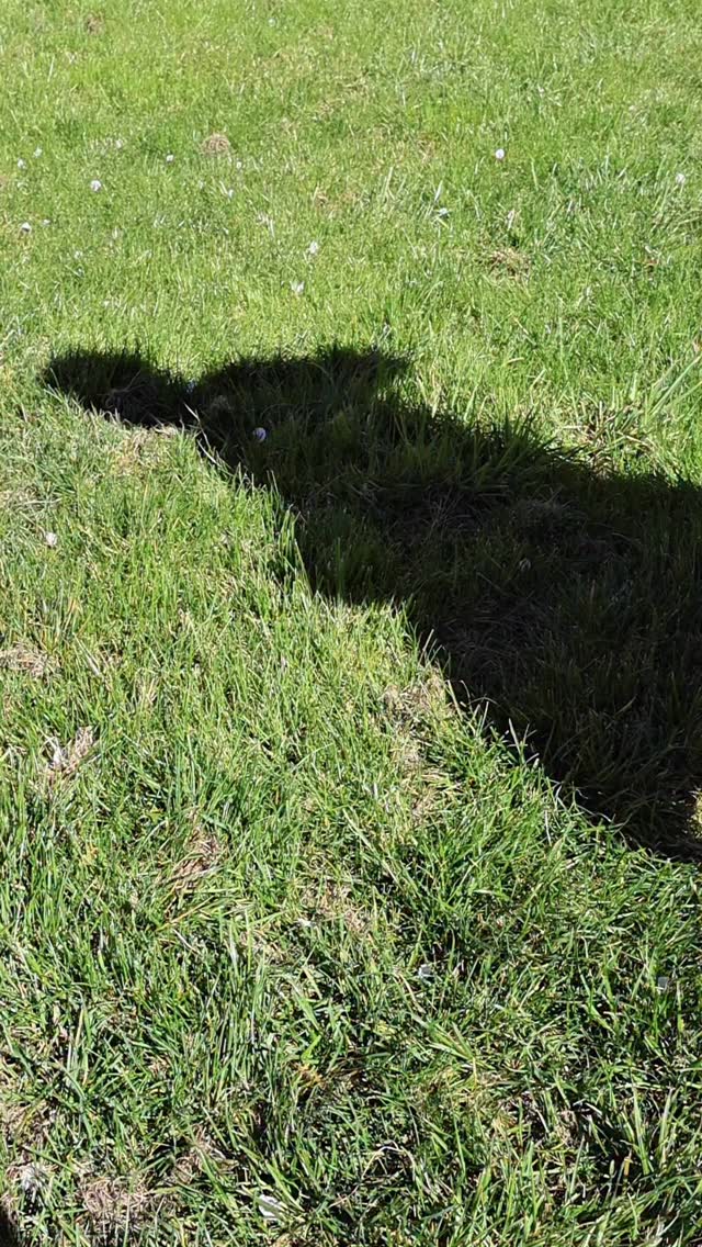 Nous aussi on a hâte du retour des picniques 🥺😫☀️