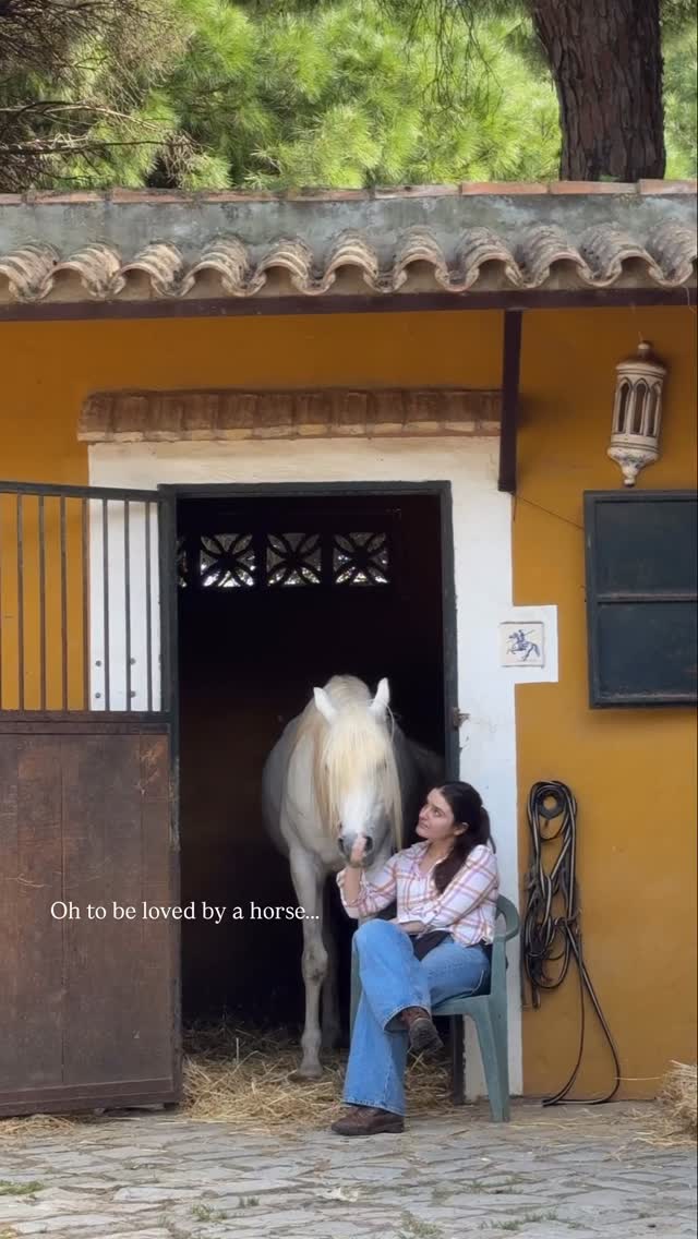 How do you explain this to a non equestrian?
#horsegirl#horsebarnlife#equestrianlifestyle#arabianhorse