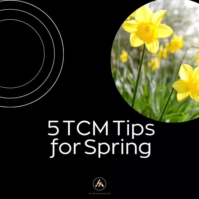 Spring is a time of growth, cleansing, and renewal. The days are longer, the weather is warmer, and flowers start to bloom.π· In Chinese medicine Spring is associated with the Wood element and is known as the time of the Liver. During this time of year it's important to balance the Liver energy and make the necessary dietary and lifestyle adjustments to harmonize with the season.
#hiltonacupuncture #tcm #acupuncture #spring #acupunctureworks