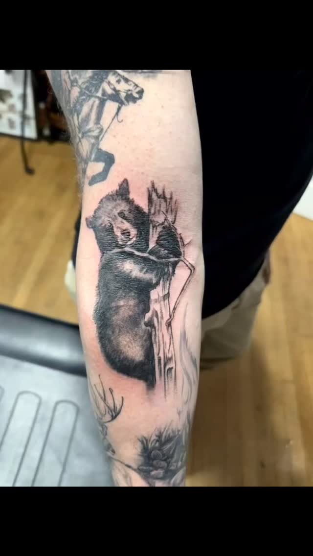 🐻The newest addition to the Maine/Wyoming themed sleeve @dfd.james.tattoos has been working on! 🐻
.
Book via link in bio
.
.
.
.
.
.
.
.
.
#ellsworthmaine #tattooshop #blackandgrey #beartattoo #tattooideas