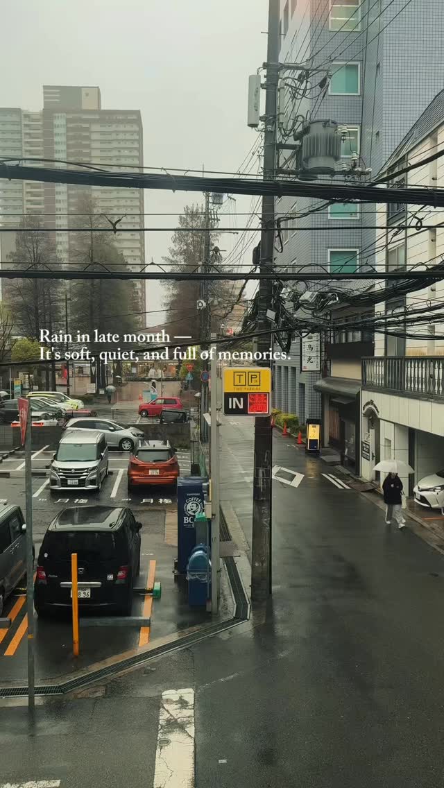ああみずいろの雨
私の肩を抱いてつつんで降り続くのああ 忘れてしまえ
あとかたもなく流されてゆく
みずいろの雨より
雨も良いですよね。
#ほぐしの楽田 #ほぐしの楽田阪神尼崎駅前 #尼崎マッサージ #尼崎肩こり #尼崎首こり 阪神尼崎駅すぐ 肩甲骨はがし 肩甲骨はがし尼崎 肩甲骨特化 首こり改善 肩こり改善 眼精疲労 頭痛改善 自律神経ケア 胸鎖乳突筋 胸鎖乳突筋ケア ストレートネック スマホ首 デスクワーク疲れ 血流改善 リンパケア 疲労回復 女性歓迎 当日予約OK 近くのマッサージ 楽天ビューティー サロンコネクト ホットペッパー 女性歓迎 当日予約OK #近くのマッサージ 楽天ビューティー サロンコネクト