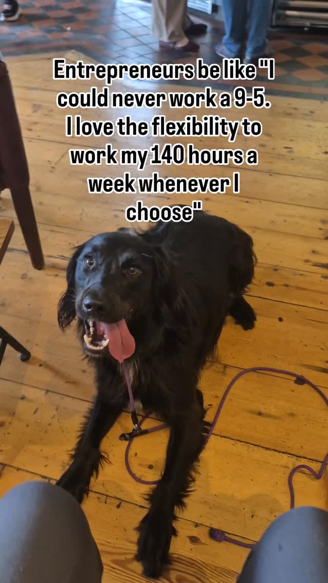 Say no more.. running a business is not for the weak
#dogbusiness #smallbusiness #dogtraining #dogtraininguk