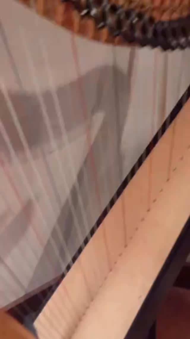 If you ever want to wind up our guitarist @umararar
Just hum a C sustain 🎵 to him in the sound of.a 🎺
Oh that’s @themkbassist humming take a gamble with the magical C LOL with the help of @callum_drummer