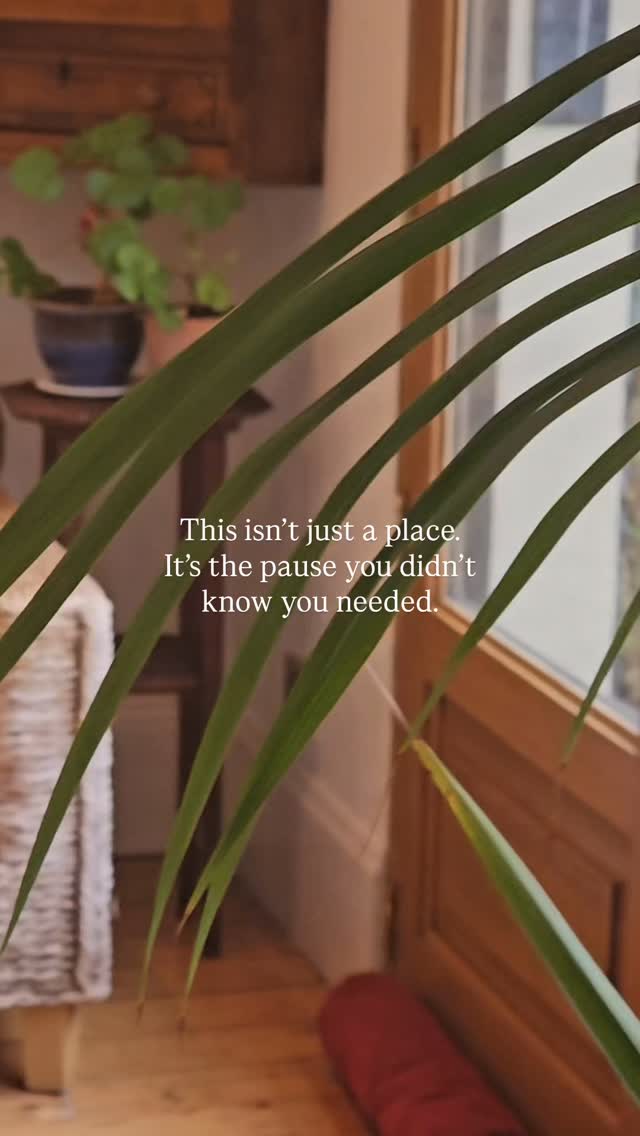 The best retreats balance time together with time to breathe.
Gather for sessions, share meals around the table, then wander outside for a walk or find a quiet spot to reflect. Having the whole house to yourselves makes it easy to create a rhythm that works for your group.
Hosting a wellness, creative, or leadership retreat? Drop us a message and we’ll check availability 💌