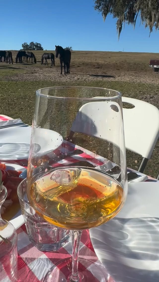 At Rancho Reposo…everything is possible! What else can you imagine?
#ranchoreposo #specialmoments #experience #thingstodoinocala #friesanhorse