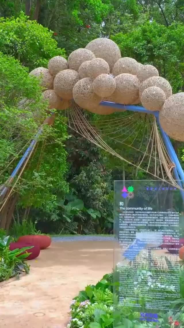 As the Shenzhen Flower Show opens in 2026, we’re highlighting our 2023 garden celebrating the city’s unique mangrove habitat — an ecologically and environmentally crucial resource.
The garden was awarded the Award of Horticultural Excellence.
⸻
ABOUT: Joe Perkins Design is a multi-award-winning landscape design consultancy, creating innovative outdoor spaces that celebrate the environment, wildlife, and biodiversity. Working across the UK and internationally, we partner with clients who share our passion for sustainable and visionary design. Discover more about our work at: www.joeperkinsdesign.com