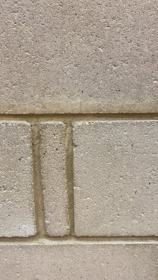 🔥 How long can you hold it? 🔥
Our gymnasts putting in the work with some wall sits as part of their core and body preparation 💪🤸♂️
It’s not always new skills - building strength and control is where the real progress happens.
Who do you think held it the longest? 👀
✨ Want your gymnast to build strength, confidence, and skills like this? Head to the link in our bio to join Team Flix.
#FlixGymnastics #FlixGymnasticsBedford #BedfordFamilies #GymnasticsClub