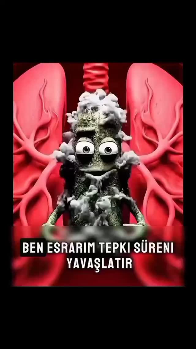 Bağder - Uyuşturucu Maddelerin Zararlarını Birde Böyle Dinleyin 👍 #uyuşturucu #uyuşturucuyahayır #uyuşturucuylamillimücadele #keşfet #keşfetteyiz