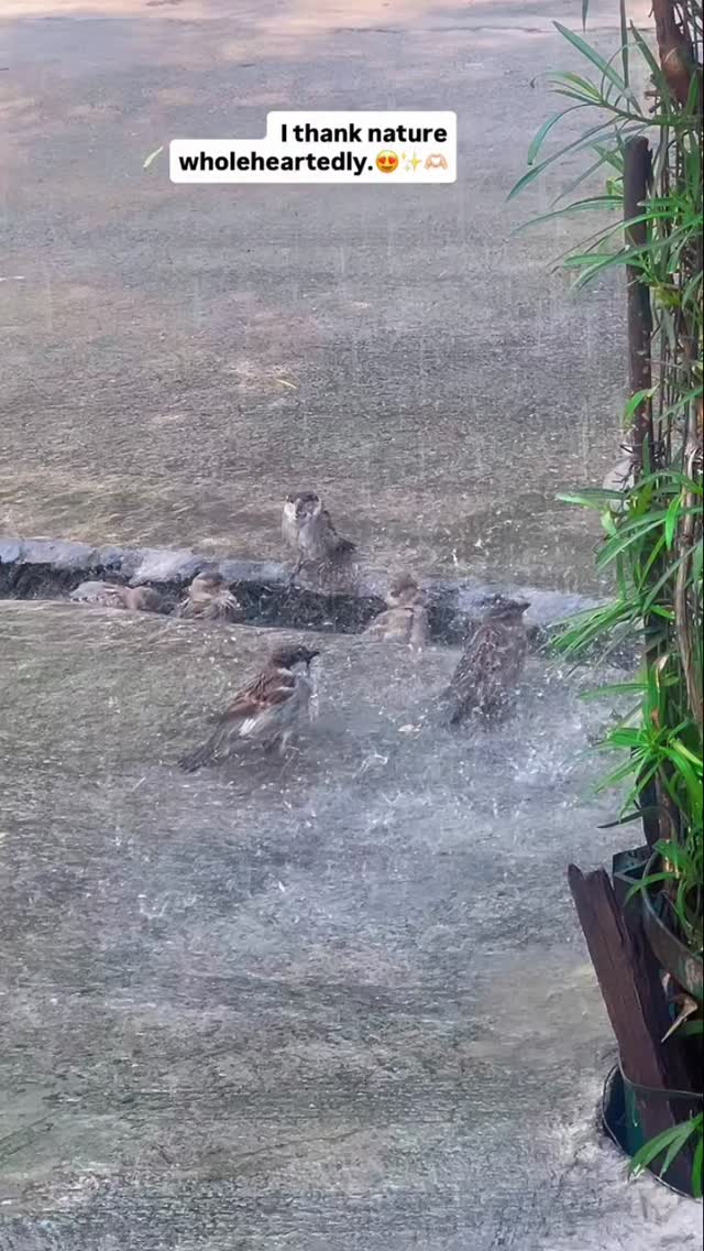 Save Environment.... #garden #gardening #reelsinstagram