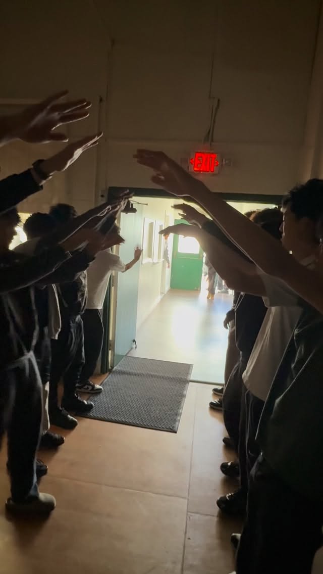 Huskies for the win 🏆