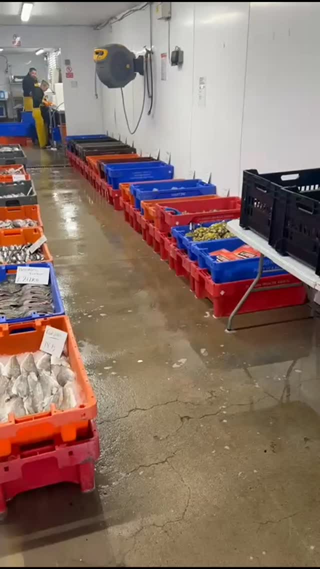 Hello Weston-super-Mare 👋
Last year, lots of you told us you’d love to see a fishmonger at the Wednesday market…
Well — we’ve found one - The fish guy 🐟✨
And trust us, the selection is seriously impressive.
We’d absolutely love to show him some Weston love ❤️
So before we bring him in, we wanted to ask —
would you be interested? What do you think?
Let us know in the comments 👇