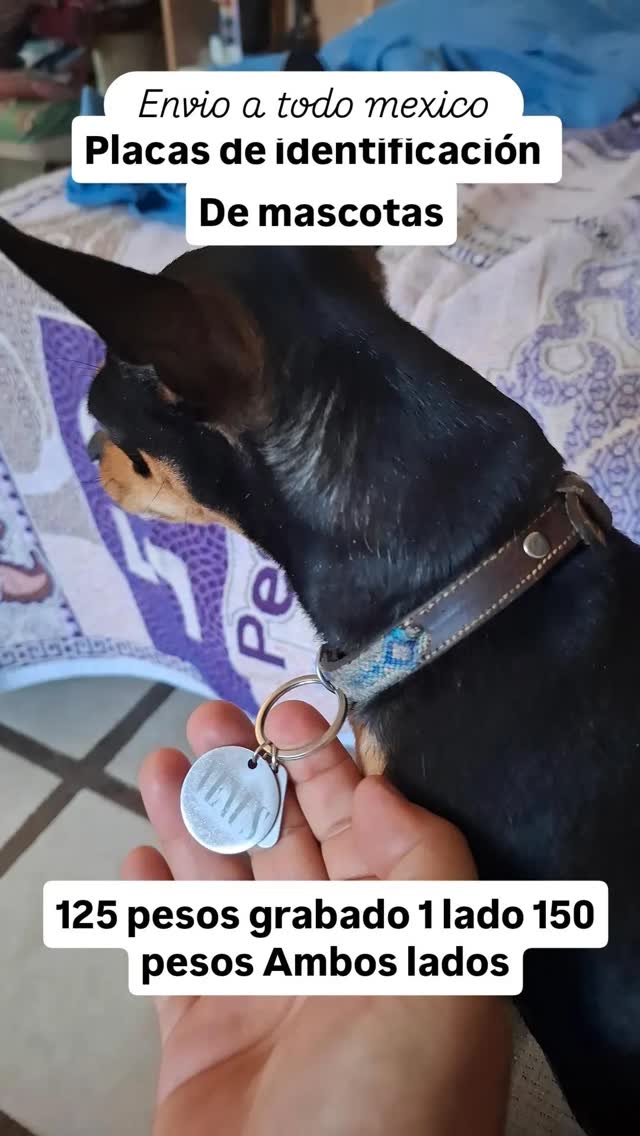 FABRICACION DE PLACAS DE IDENTIFICACION
Placas para mascota, acero inoxidable redondas, 125 pesos grabado de 1 lado 150 pesos Ambos lados mas envio.
#mascotas #placasmascotas #grabadoláser #dogtag