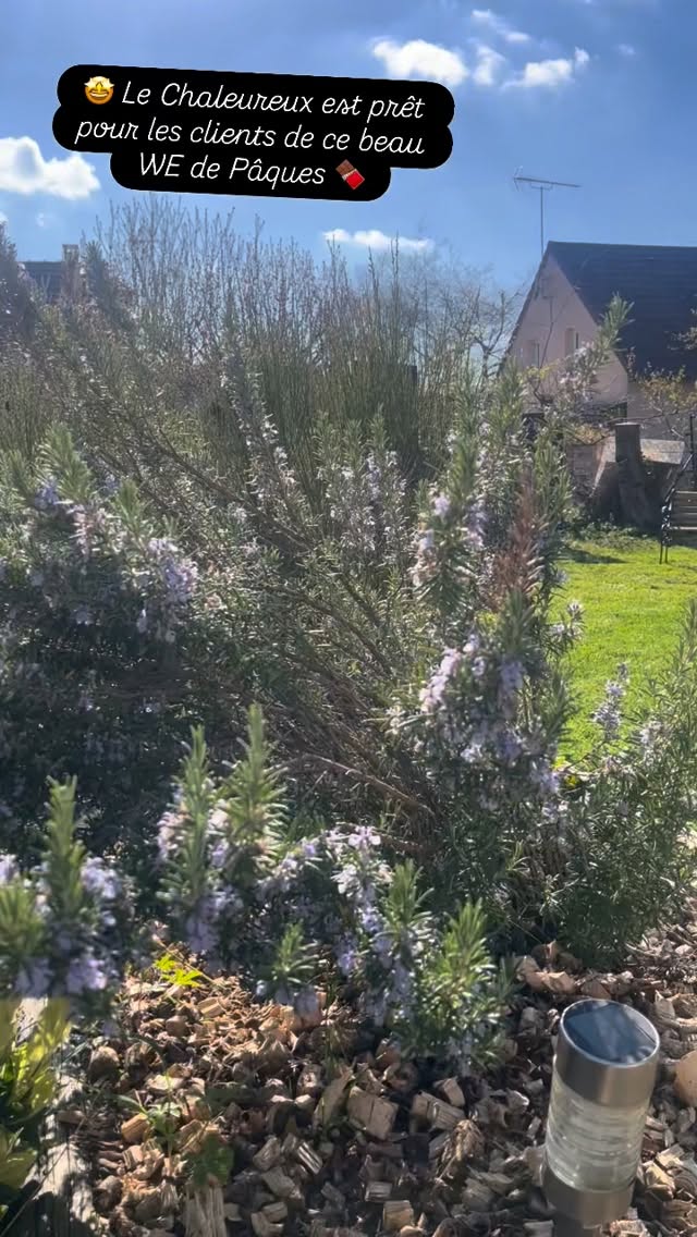 🍫 C’est bientôt Pâques 🤎
Le Chaleureux est prêt pour nos clients de ce WE !
👉 Un moment de douceur chocolatée pour programmer votre prochaine escapade 😎
>> https://www.gites-chezmorganethomas.com/
#gites #jura @jurabsolu #weekend #giteschezmorganethomas